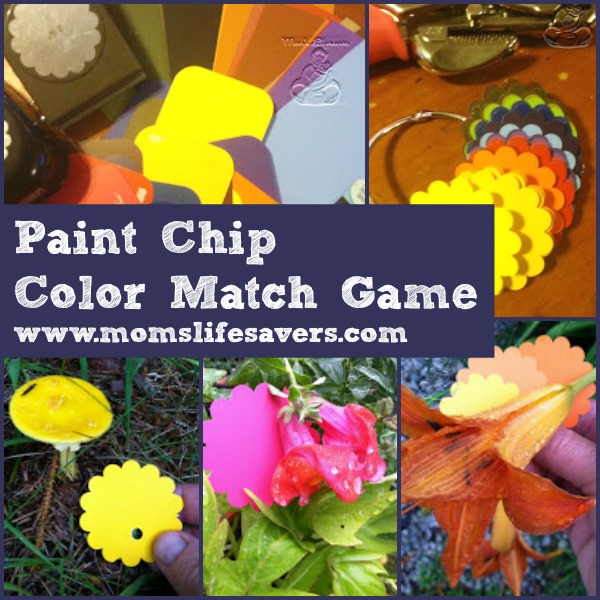 Paint Chip Color Match Game