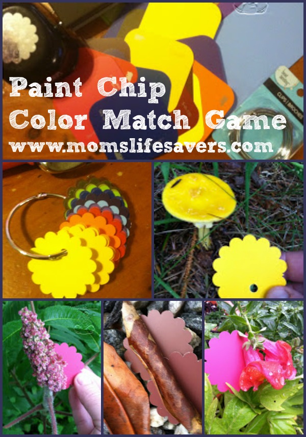 Paint Chip Color Match Game