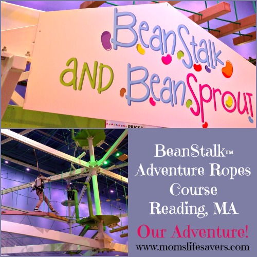 BeanStalk Adventure Ropes Course Mom's Lifesavers