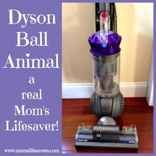 Dyson Ball Animal 